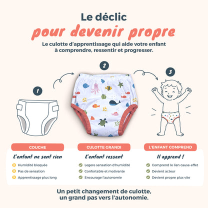 Culottes d'apprentissages